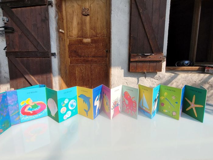 Superbe livre accordéon Amaterra 🪸 Sous la Mer 🐡 - photo numéro 15