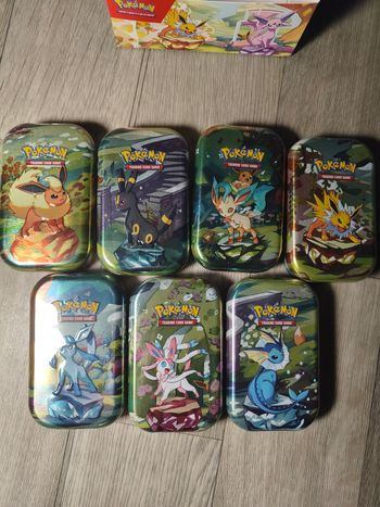 Mini tin ev8.5 évolution prismatique 