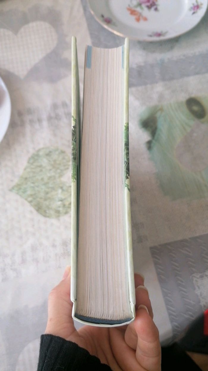 1001 remèdes maison Sélection Reader's Digest - photo numéro 15