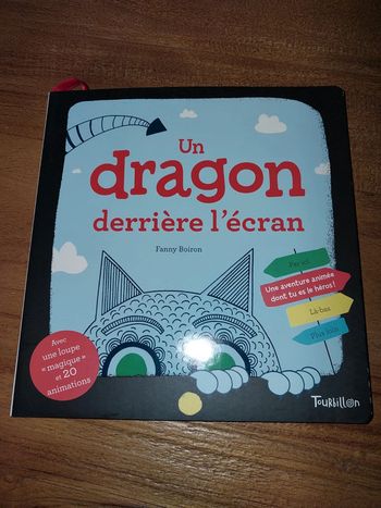 Livre un dragon derrière l'écran Fanny Boiron