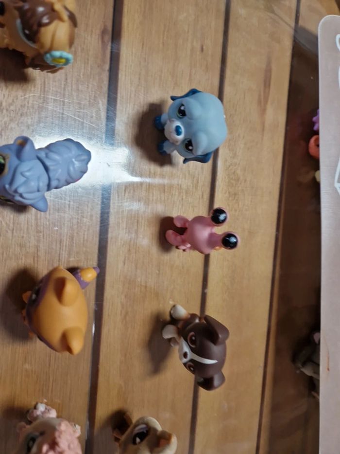 Lot Petshop (1) - photo numéro 8