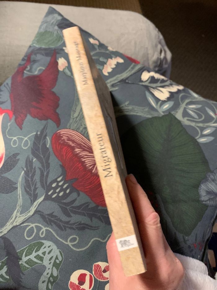 Migrateur - photo numéro 3