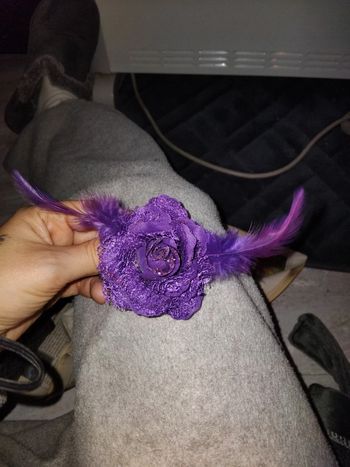 Pince crocodile violette avec plumes