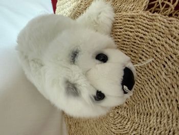 Animal en peluche Wwf peluche Bébé Phoque