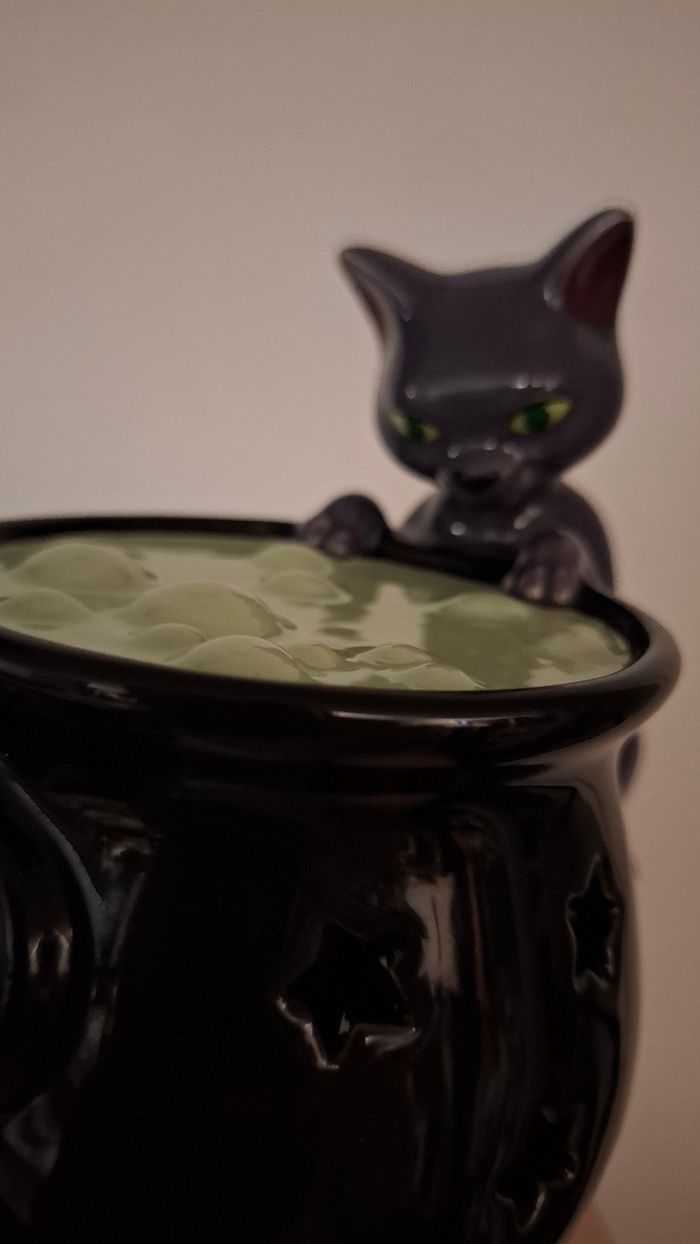 Hocus Pocus binx chat halloween Disney store shop officiel bougeoir photophore Sanderson - photo numéro 2