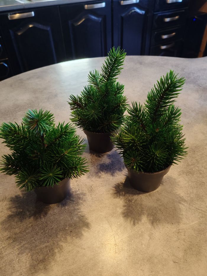 Lot petits sapins - photo numéro 2