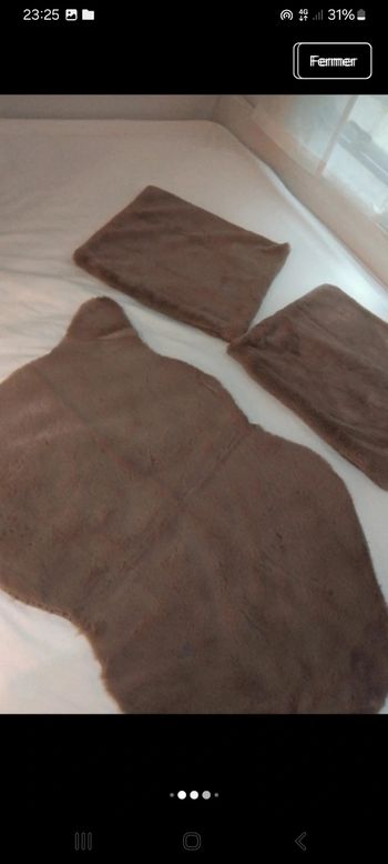 Lot 1 apis 2 coussins neuf