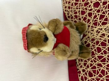 DOUDOU PELUCHE PACO marmotte