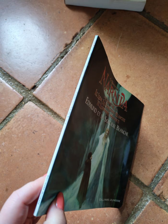 Le Monde de Narnia, chapitre 1 Edmund et la Sorcière Blanche - photo numéro 8