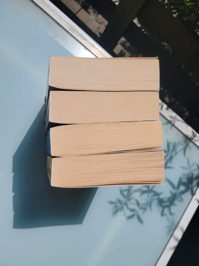4 Premier romans grands formats de la saga Le Labyrinthe : Livres 1, 2, 3 et 4 - photo numéro 4