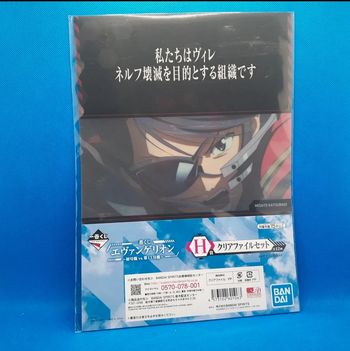 2 clear files evangelion