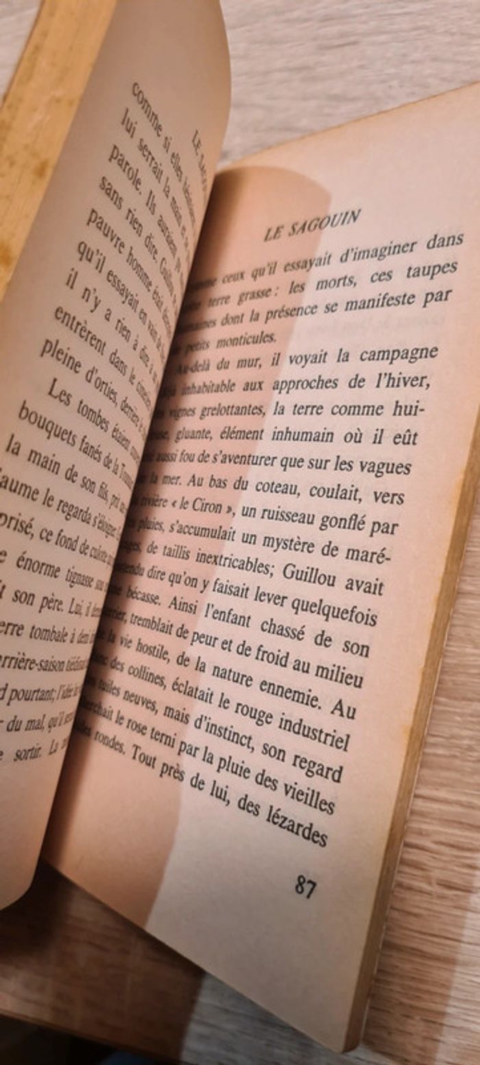 Livre Le Sagouin - photo numéro 3