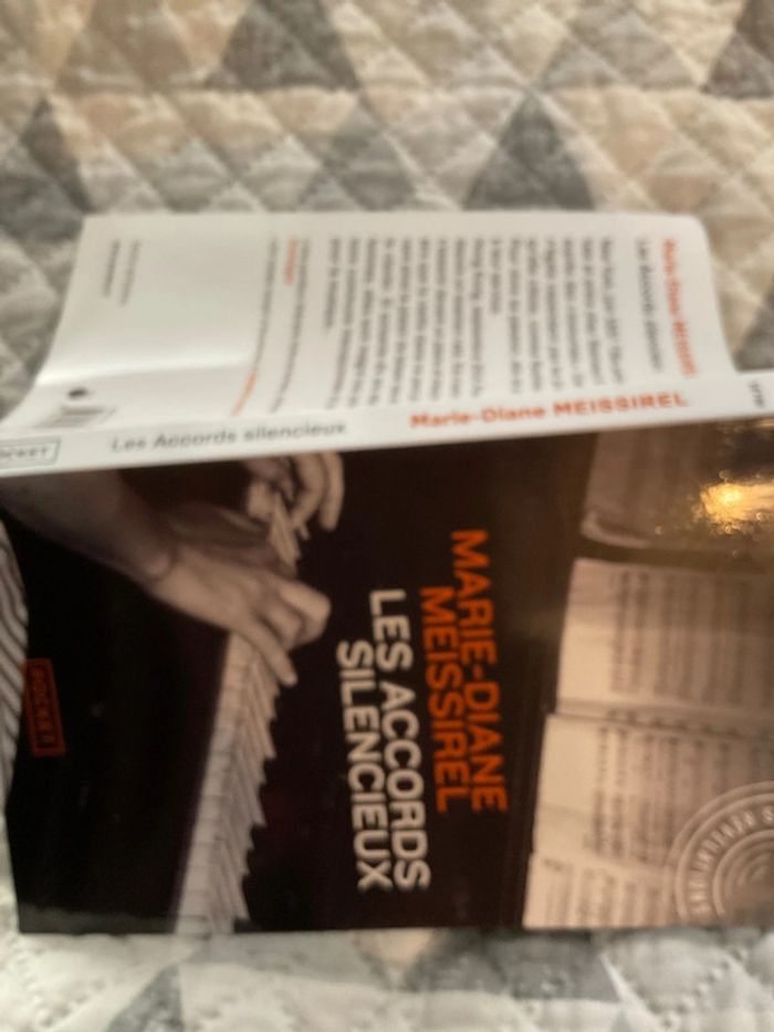 # les accords silencieux Marie Diane Meissirel. ) - photo numéro 4