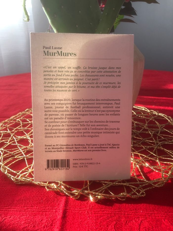MurMures - Paul Lasne - photo numéro 2