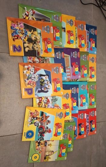 Lot livre pat patrouille