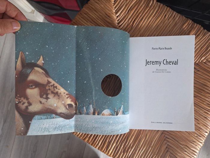 Livre Jérémy cheval - photo numéro 6