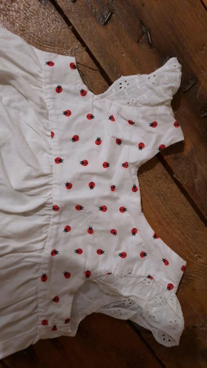 Robe coccinelle - photo numéro 3