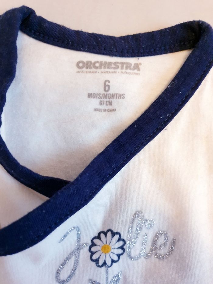 Bodies Orchestra - photo numéro 2