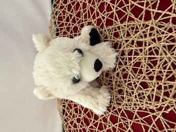 Ours polaire arctique réaliste en peluche blanche  de Wild Republic