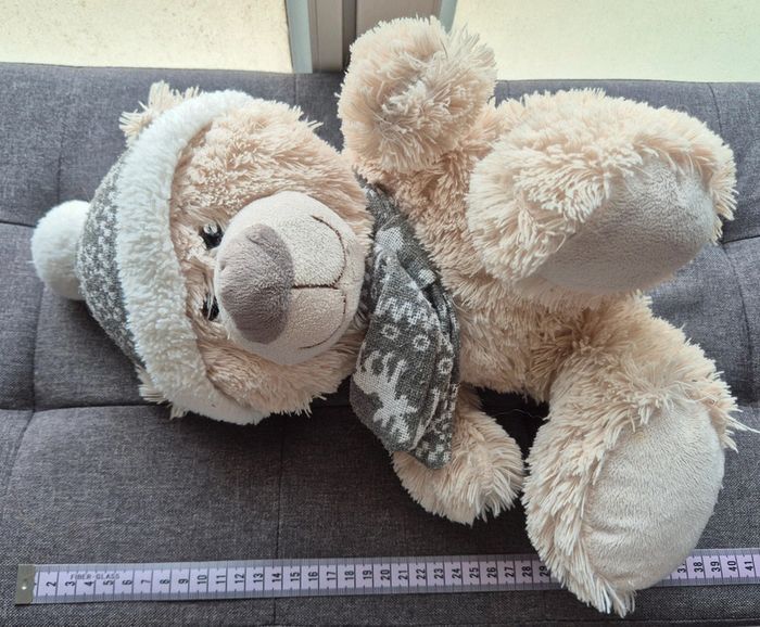 Ourson - photo numéro 2