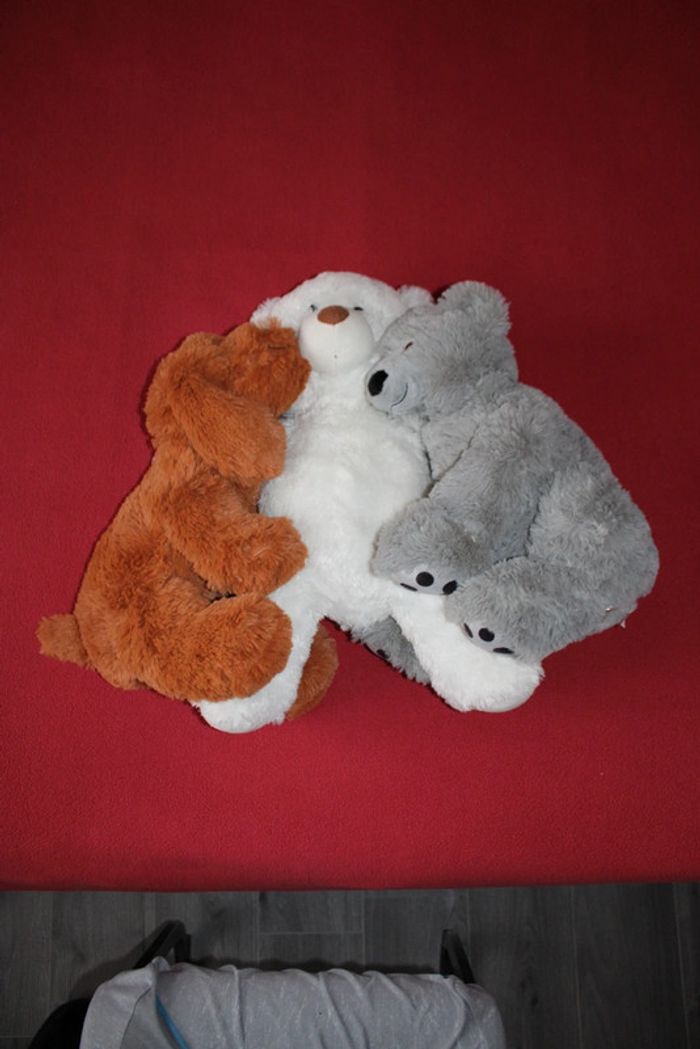 Lot de 3 belles peluches (2 nounours et 1 chien) - photo numéro 8
