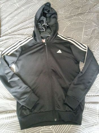 Veste 14 ans