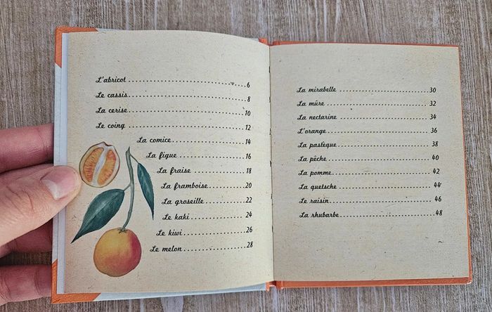 Mon petit potager Les fruits - photo numéro 3