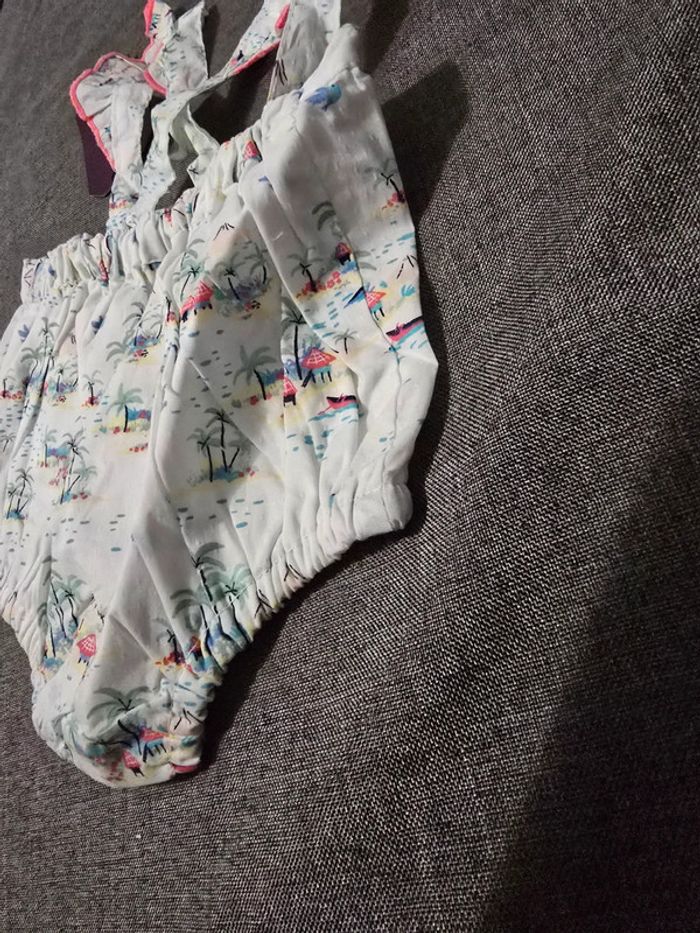 Bloomer - Sergent Major - 3M/59cm - photo numéro 6