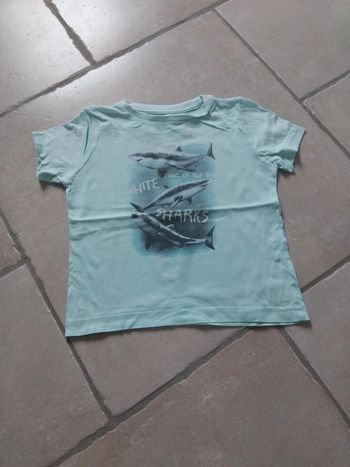 T shirt
