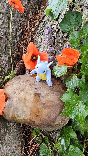 Super figurine Pokemon Nintendo Carabaffe