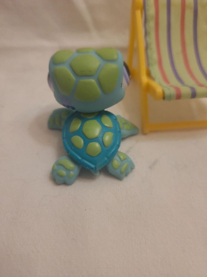 tortue de la mer petshop (rare) - photo numéro 2