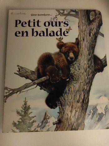 Livre cartonné . Petit ours en balade