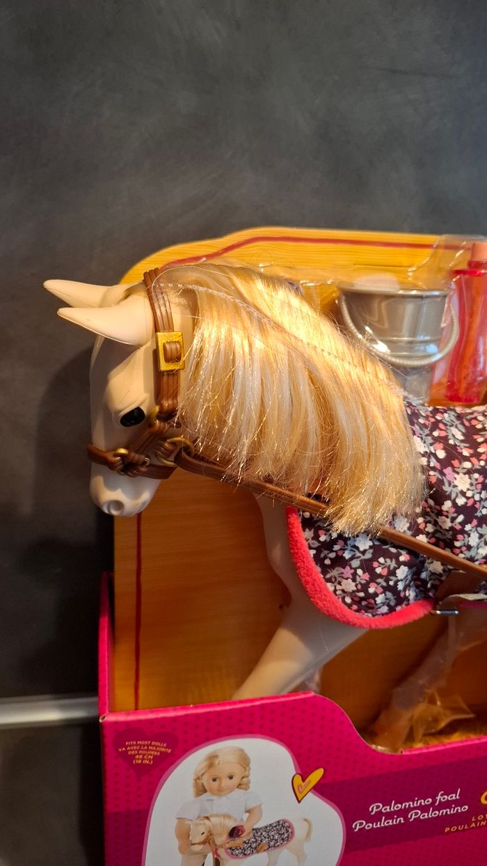 Poulain palomino - photo numéro 2