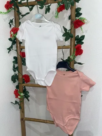 Lot 2 body