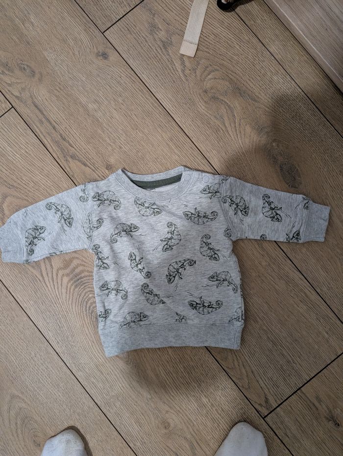 Pull cameleon