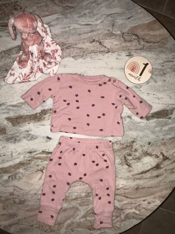 Ensemble coccinelle zeeman 