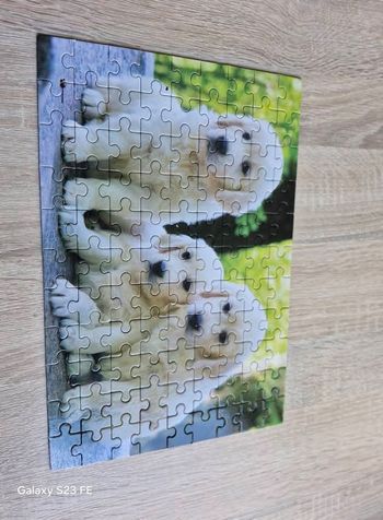 Puzzle 99 pieces
