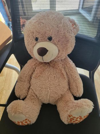 gros nounours