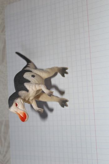 dinosaure