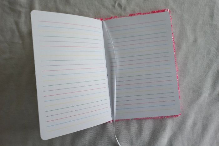 Carnet poupée LOL - photo numéro 6