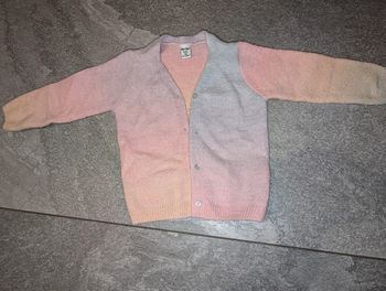 Gilet bébé fille 18/24 mois multicolore