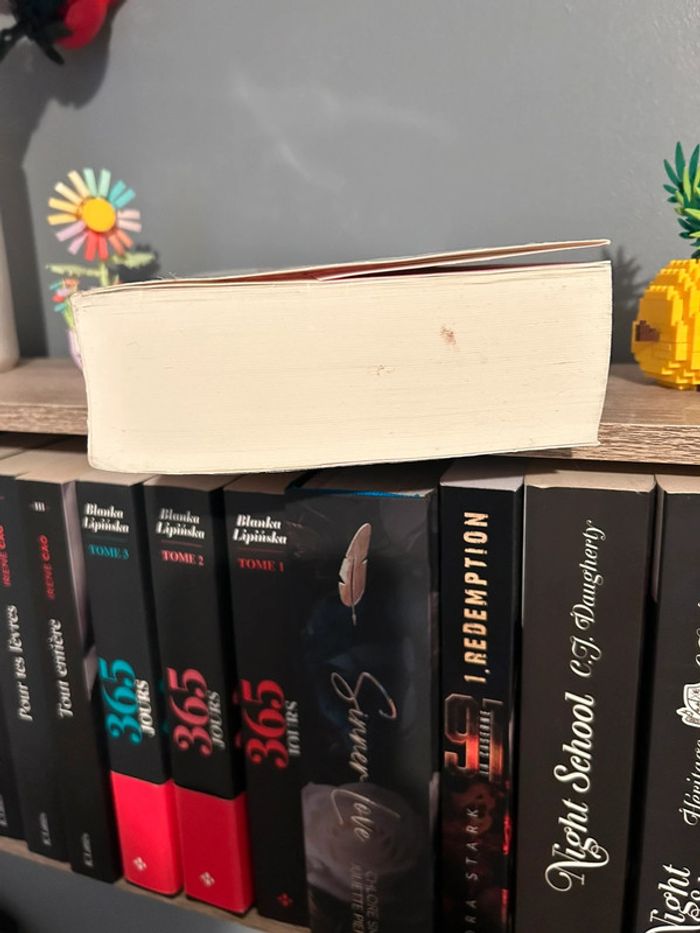 Livres irrésistible l'intégrale de Meg Cabot - photo numéro 6