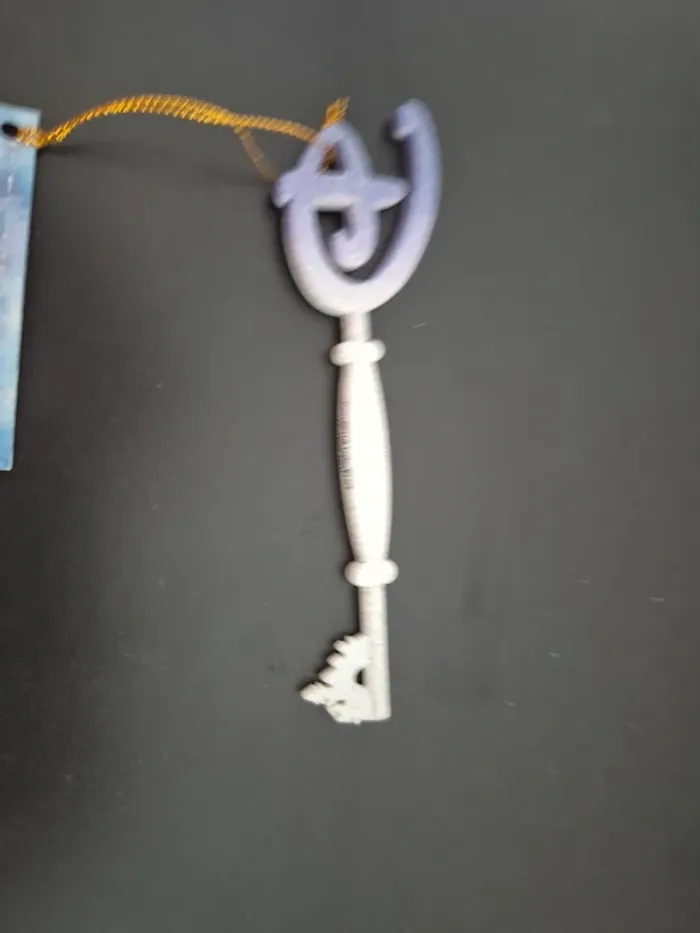 Clé Disney Frozen 2 - photo numéro 2