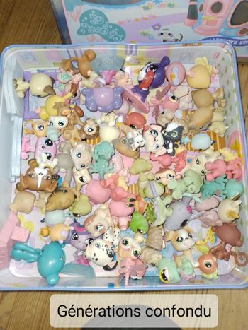 Petshop