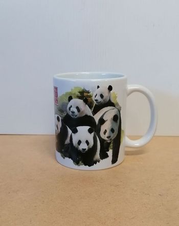 Mug PAIRI DAIZA.