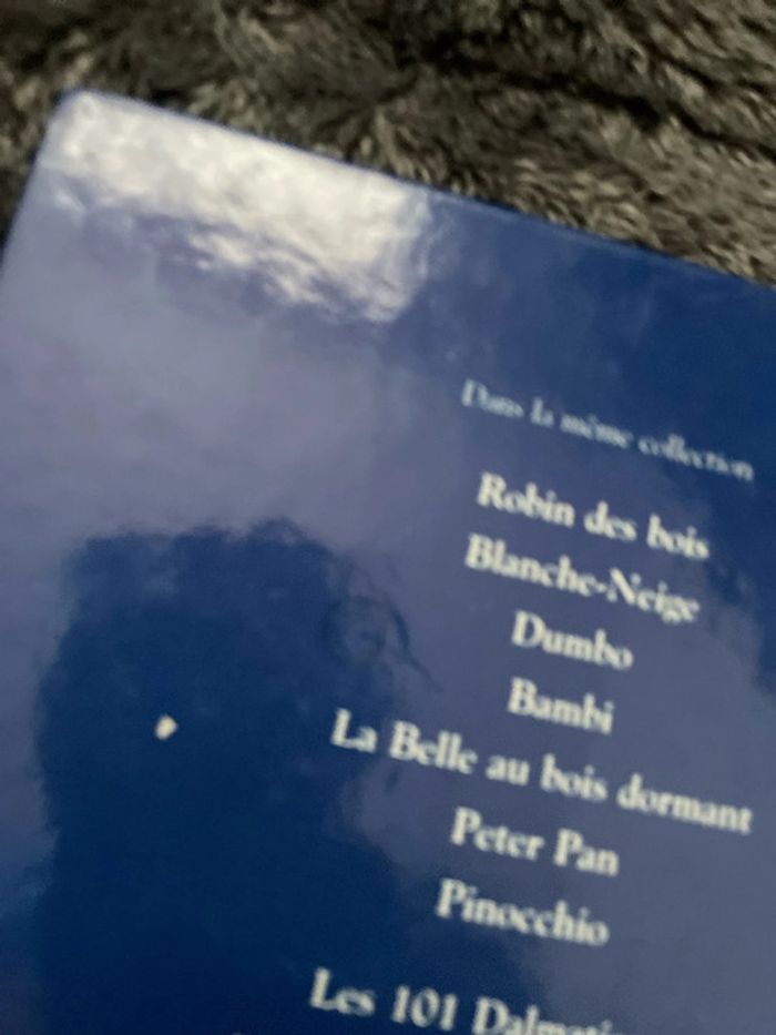 Basil détecteur privé - photo numéro 6