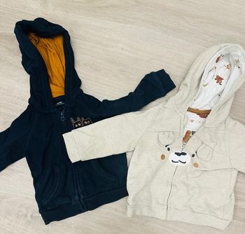 Lot de 2 pulls à capuche 