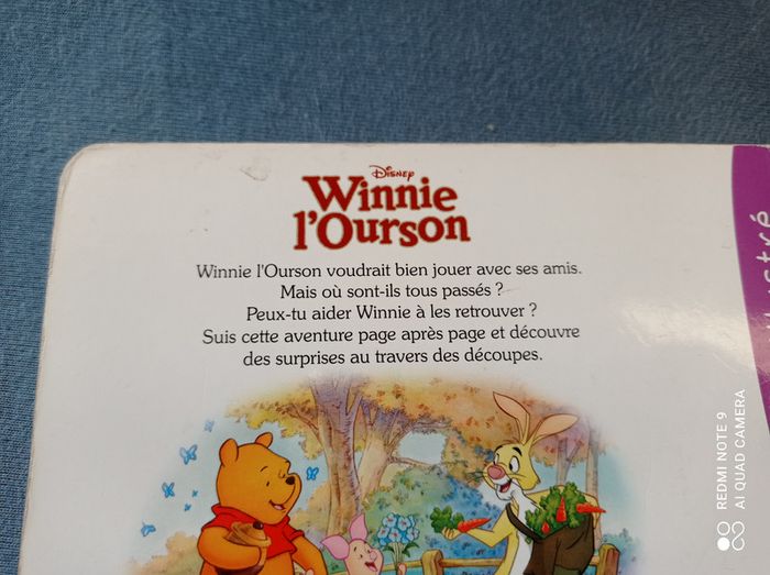 Lot de livres à trous Winnie l'ourson, éditions Hemma - photo numéro 5