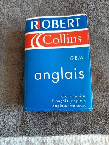 Mini dictionnaire français-anglais