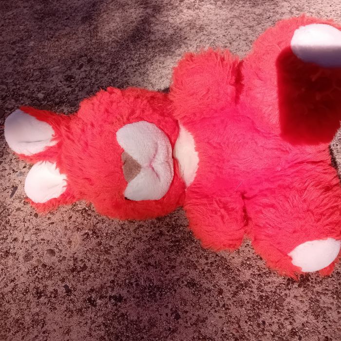 Peluches - photo numéro 3